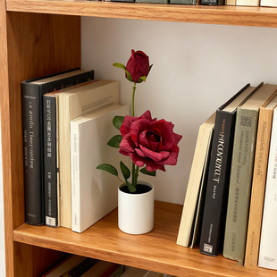 2�^õ�廨ĥɰ���Ի�c�û����þ껨�辰�����ָз��滨�@ˇ�[��