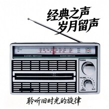 ��������1202AC���ű�Яʽȫ���ι�FM/AM/SW���ߵ������220V���