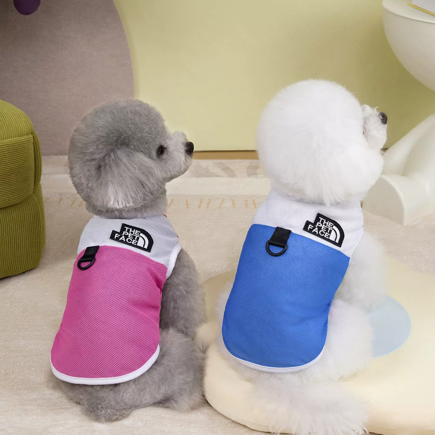 宠物衣服春夏新款宠物服装狗狗衣服泰迪猫咪衣服25潮牌牵引背心