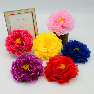 ��ĵ���������20cm����ĵ���ٻ�������ʽ�L�Y�û����������ò廨