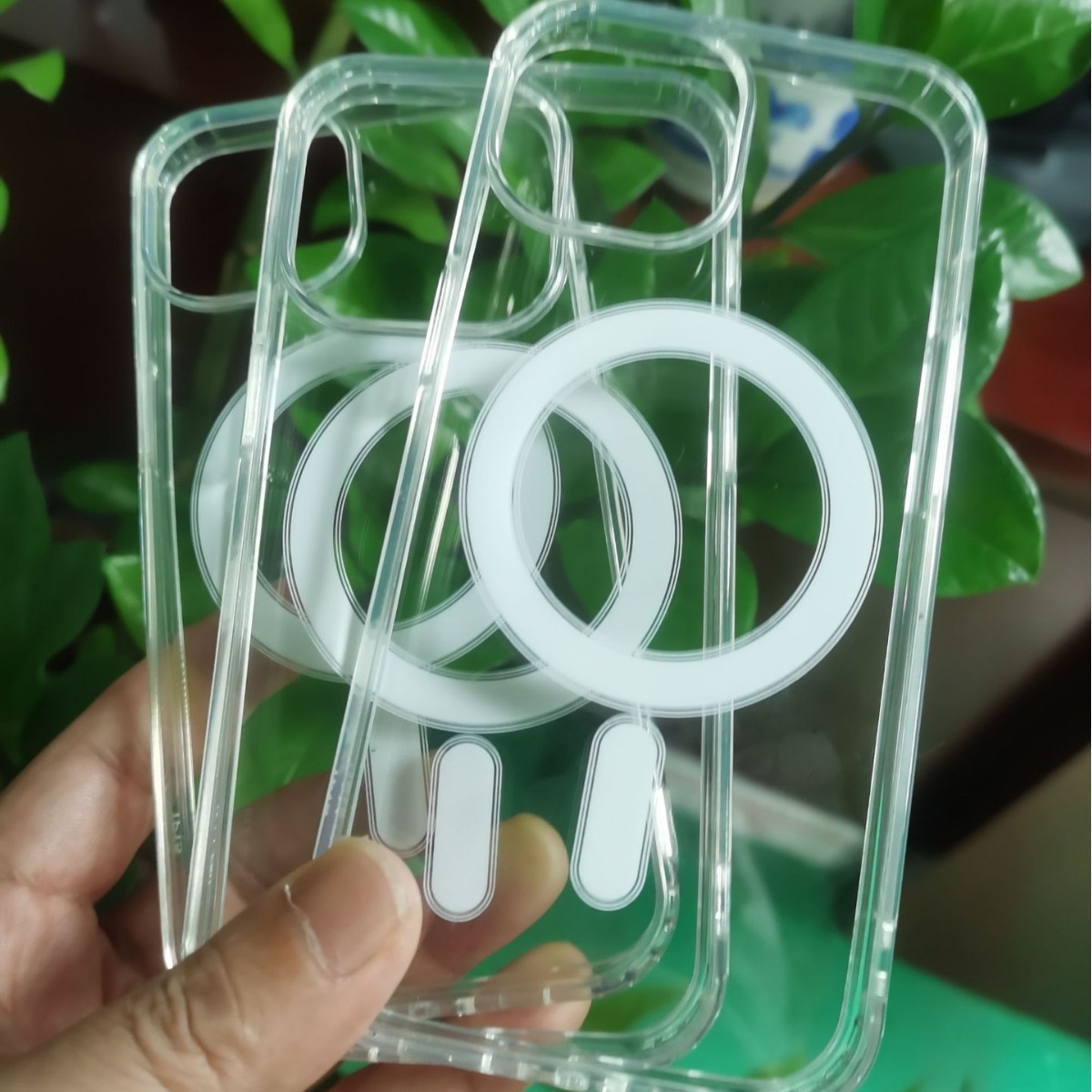 2023-12-18 23:01:36.jpg