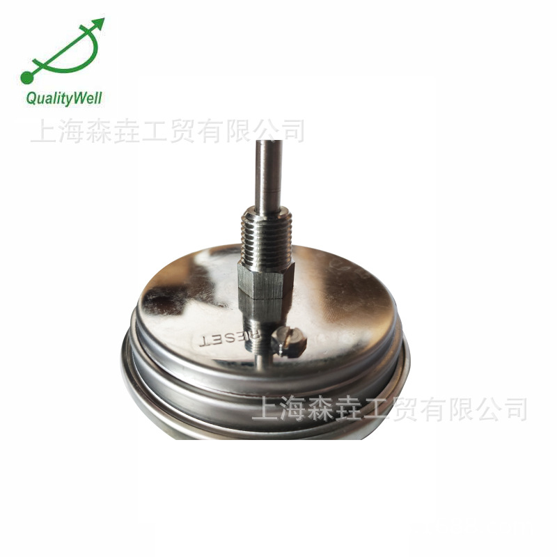 ��������ʽ��β̽��˫�����¶ȼ� �ѷ��� ȫSS304���� T300-S