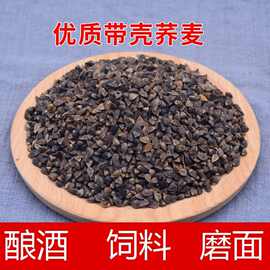 仓鼠鸽子饲料带壳甜荞苦荞麦荞麦米原粮酿酒磨面种子天然散装