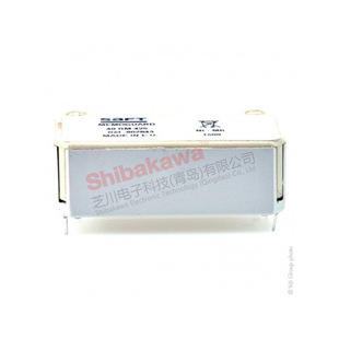 40RM425 802843 4.8V 250mAh SAFT 懚���늳�