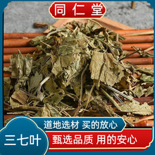 野山三七叶子新货云南文山三七干叶子三七叶田七叶子真货好货