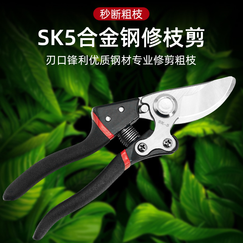 SK5强力园艺修枝剪园林家用省力款花枝园艺剪高枝锯轻便果木剪枝