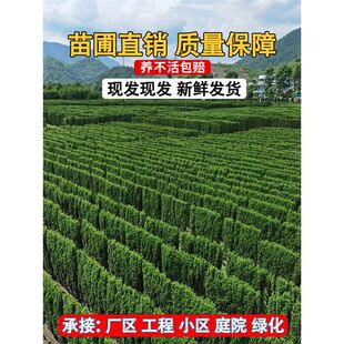 ���������ļ�����h�����f������~�G����ľ�ͺ�����·߅ͥԺ����