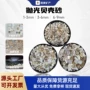 手工抛光水族水洗贝壳