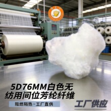 5D76MM白色无纺用间位芳纶纤维特优短纤阻燃隔热工厂直供
