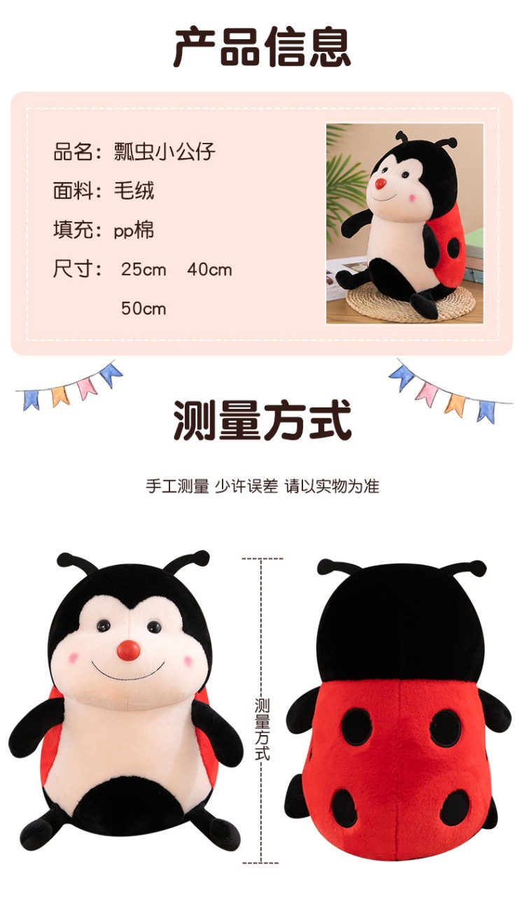 瓢虫 (3).jpg