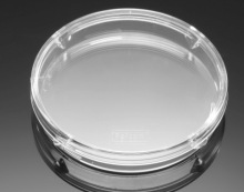 Corning/���� 100mmx20mm��׼�������B�� ؛̖353803