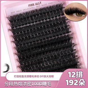 Cross-border Europe and the United States segmented 12 rows of large-capacity hot-melt thick 100D false eyelashes novice curling simulation of natural eyelashes