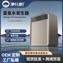 免安装RO反渗透富氢水机富氢水发生器高浓度制氢水机净饮机直饮机