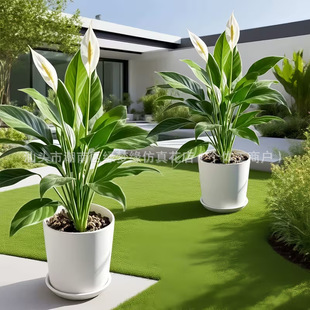 �羳�¿������Ʒ��Ƹߙn3D��ӡһ���L혾Gֲ�ٻ���������[��