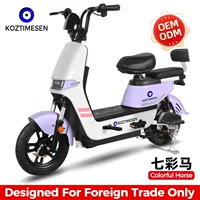 E-bike Источник Завод Трансграничная внешняя торговля Красочная лошадь модная легкая 48V электрический электромобиль электрический аккумулятор автомобиль мотоцикл