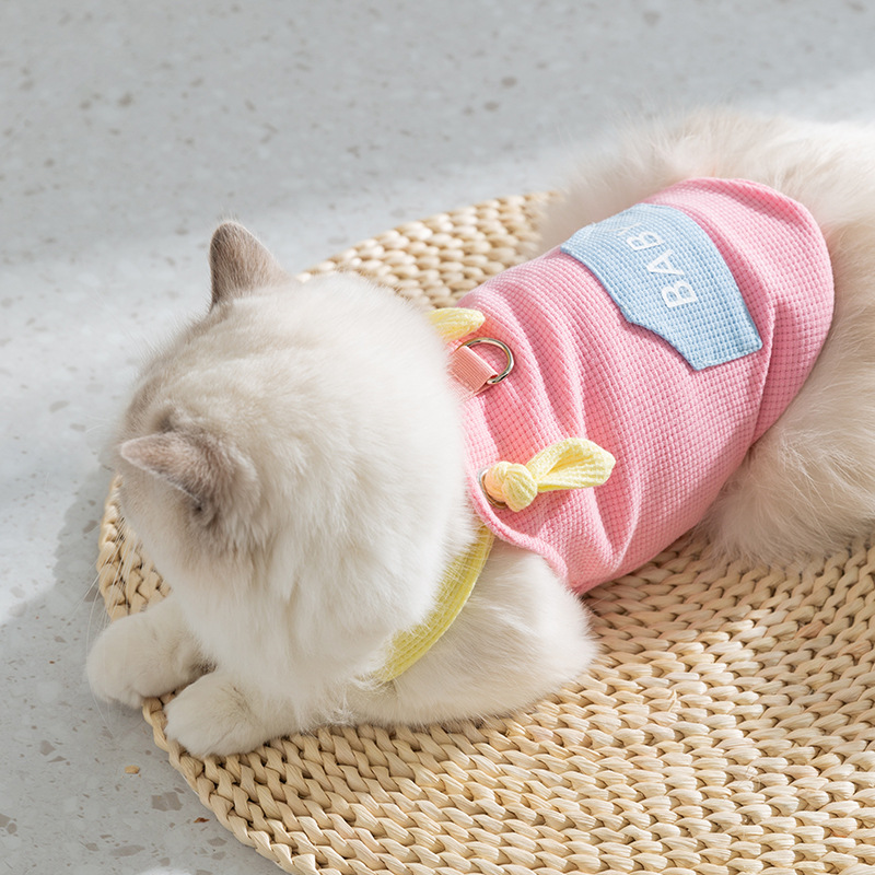 Gato primavera y verano de dos patas bebé macarón bolsillo de tracción cabina perros pequeños y medianos perros Teddy ropa de mascotas