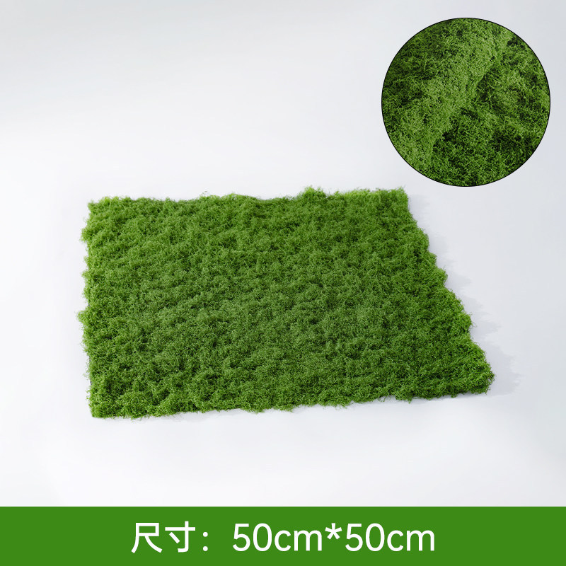 Filamentous moss dark green turf [50cm*50cm]