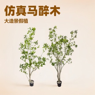 ����ֲ���쾰�Gɫ�R��ľ�پGֲ�W�t��ˇ��������̈���������