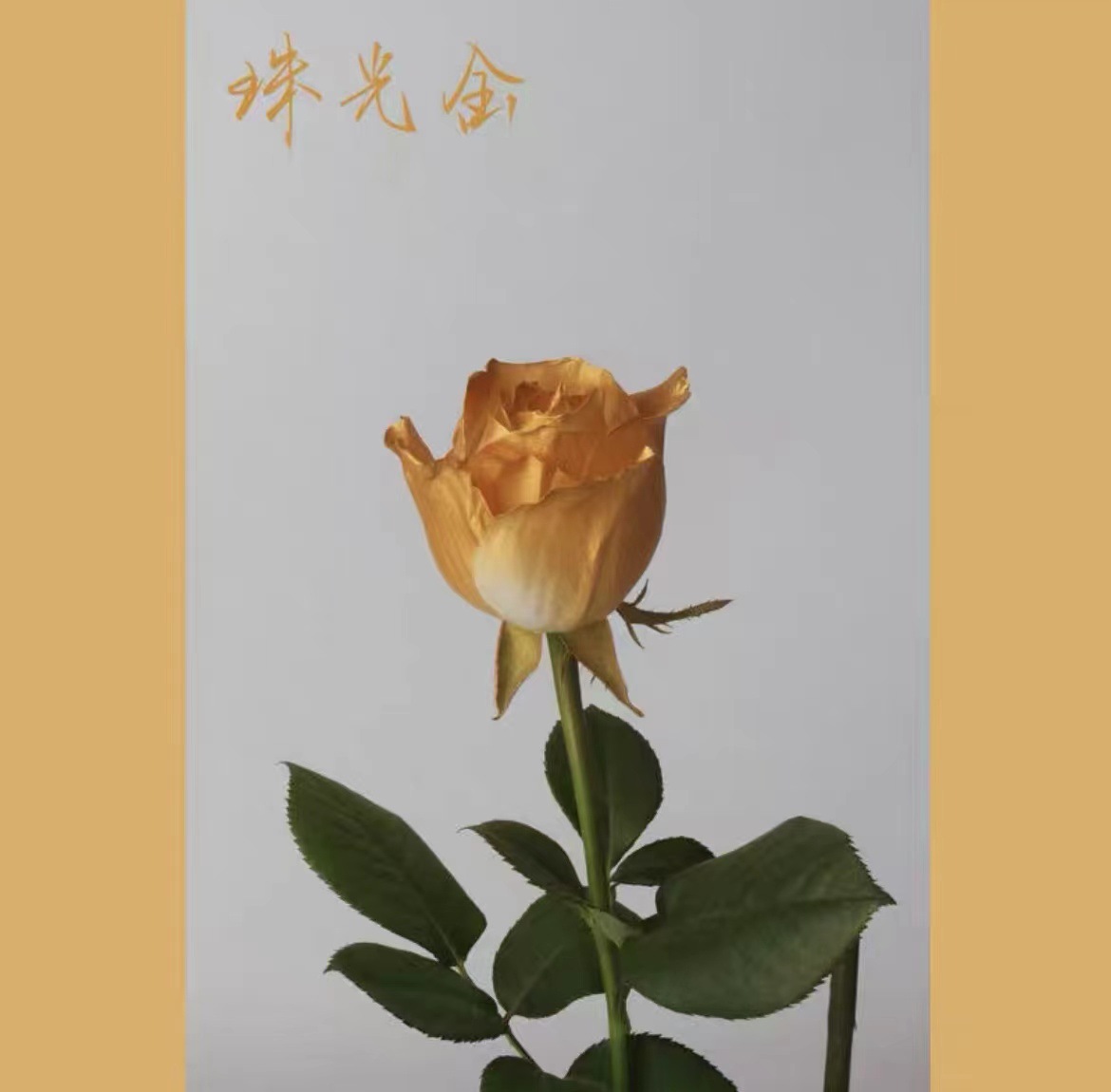 La pintura de aerosol de flores agente de pulverización de color mágico de hielo azul rosa aerosol a base de agua spray floral agente colorante 400ml en stock