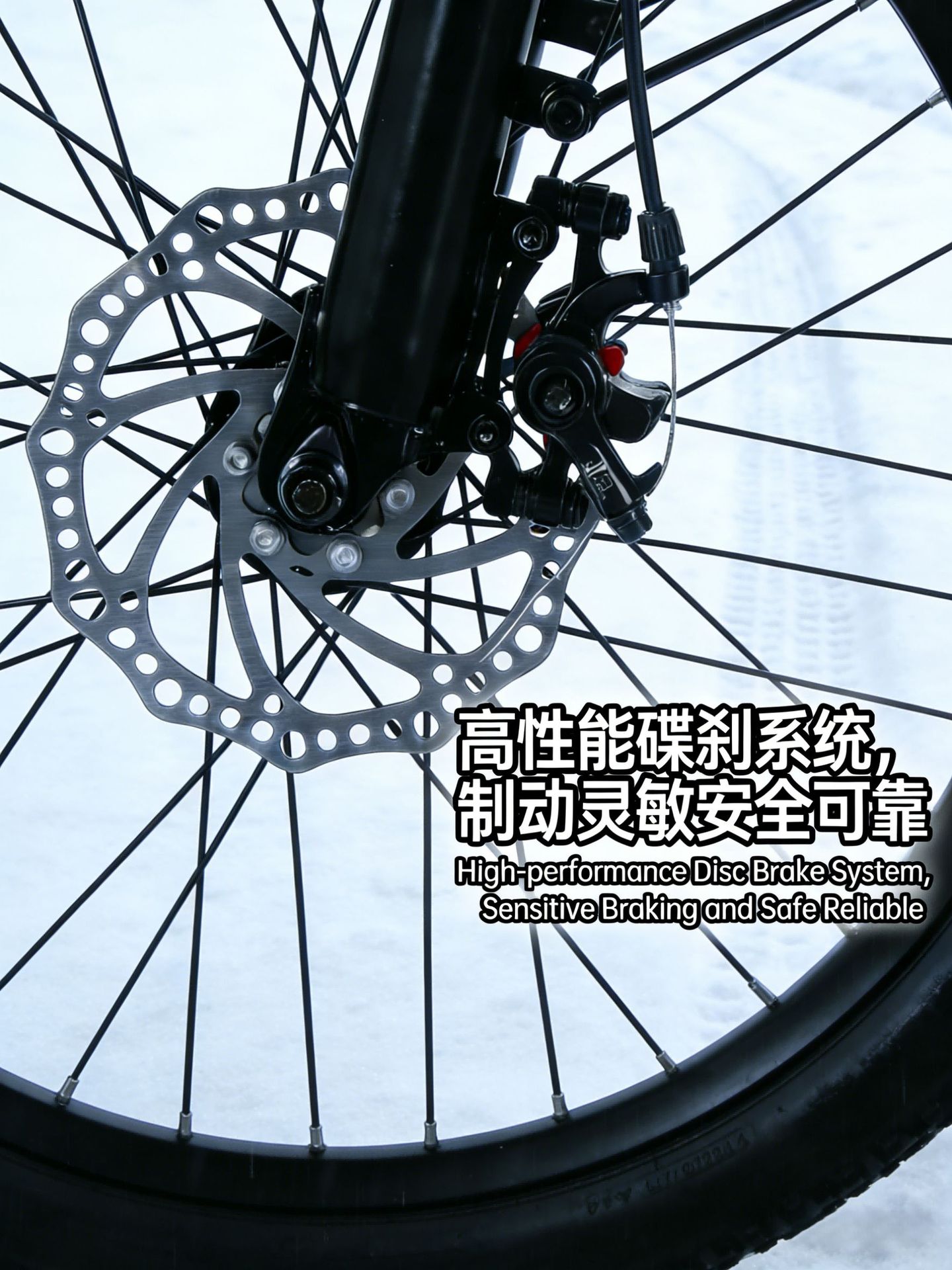 Lithium Battery Electric Bicycle 12-inch Wide Tire Snow Mountain