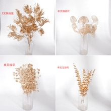 ��ɫ5���ȼ��� 3�����~�y���~ 2��ʯ��F؛���� ��������Ͱ����