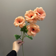 4�^������ĵ���� ���N�����滨��c�û��zӰ�����b�Y�üٻ�