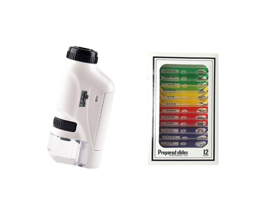 흰색 (영어) 색 표본