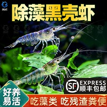 ��S�ښ��r�~��ˮ���坍�����r�����^�p���r������w����쾰
