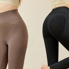 秋冬新款暖肚提臀棉裤德绒高腰收腹保暖秋裤无痕外穿打底裤女批发