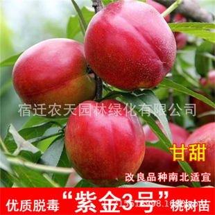Ѫ�����c25���ˮ��Ѫ��Ҽt��������Ѫ�����ɫ�Ҙ������