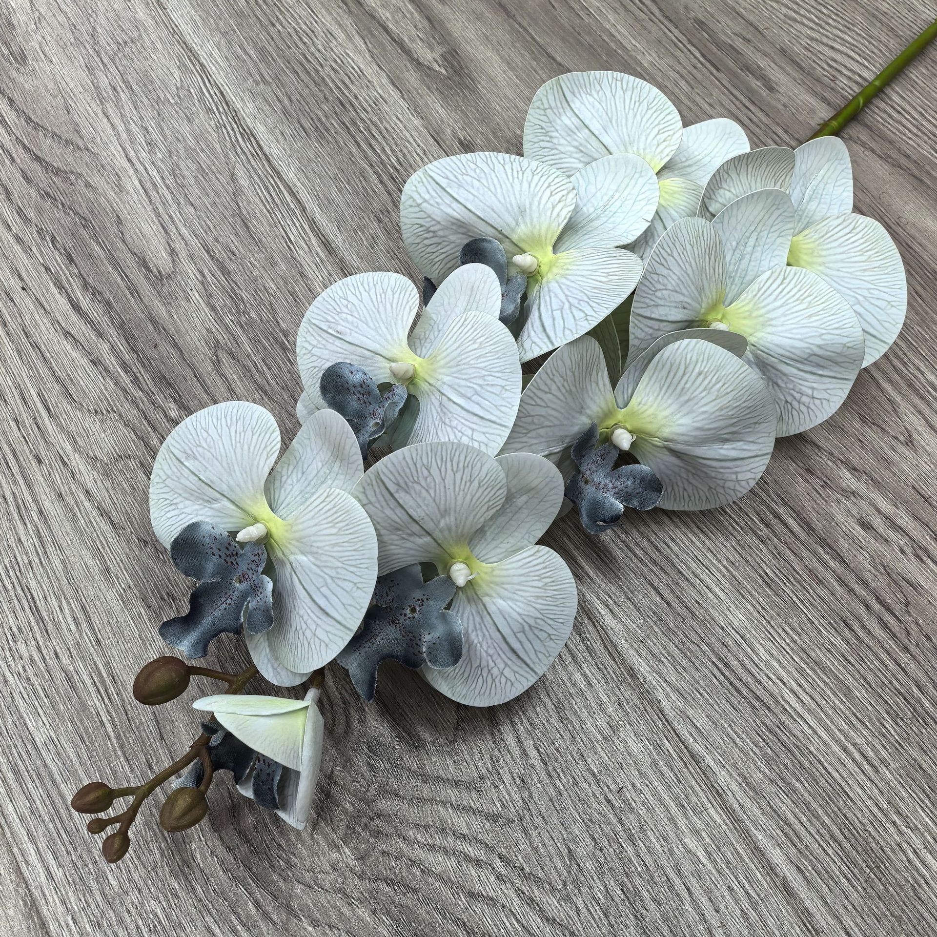 하늘색