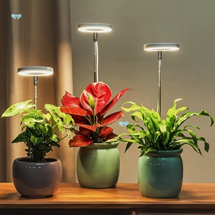 Full Spectrum Growth Lamp Indoor Full Spectrum Growth Cross-Border