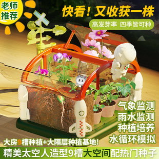 Children's Planting Sun Room Vegetable Growing Toys Science Experiment Set for Girls, Elementary School Students, Boys' Handicrafts, Middle School Observation