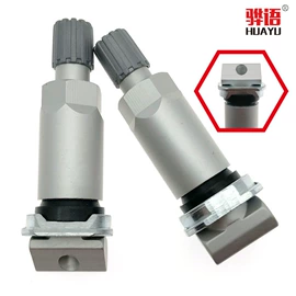 车身及附件;气门嘴