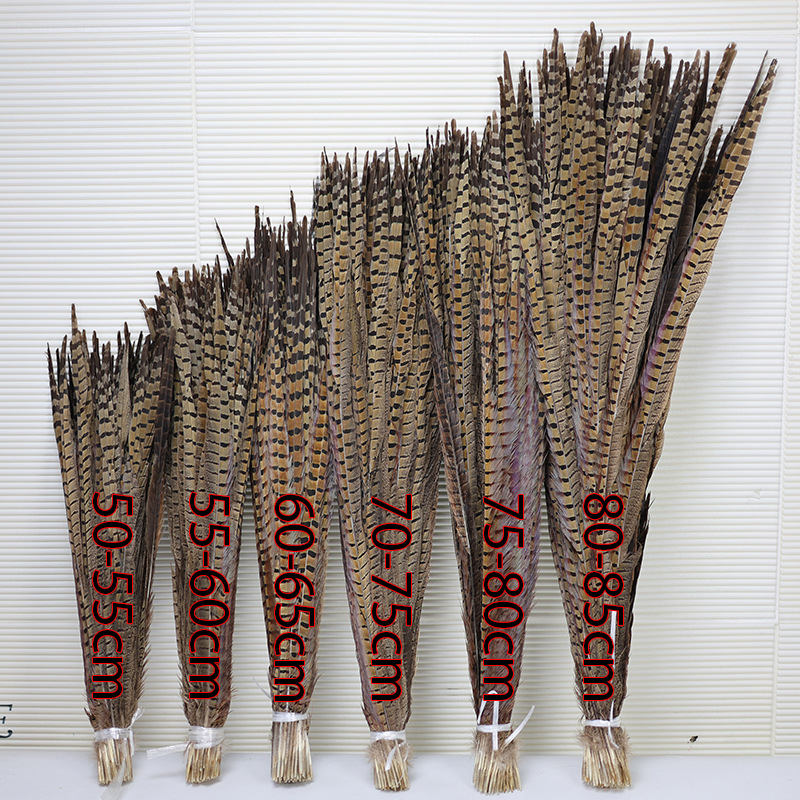 Mayorista 15 - 100cm plumas de cola de pollo de montaña, plumas de gato, plumas de gallo de montaña, plumas de gallo de Beijing, plumas de gallo salvaje