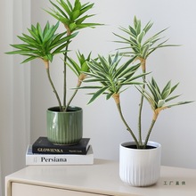 ��Ʒ�|3�^�ٺ������ֲ���辰���滨����Gֲ��ֲ��Ҿ�����[��