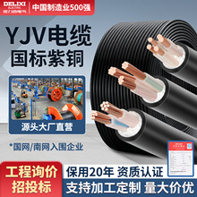 德力西YJV纯铜电缆线2 3 5芯充电桩阻燃护套线4/6/10平方工程电缆