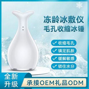 Facial Small Ice Hammer Cold Compress Facial Shrinkage Pores Skin Massage Cold Compress Household Beauty Instrument Shake Tone Gift
