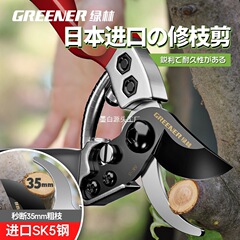 日本オリジナル輸入果樹剪定ばさみ、枝ばさみ、園芸ばさみ、SK5花ばさみ輸出
