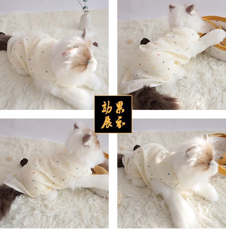 0e206c2e-c4b3-4302-b65e-588cc7c1ff3e.jpe