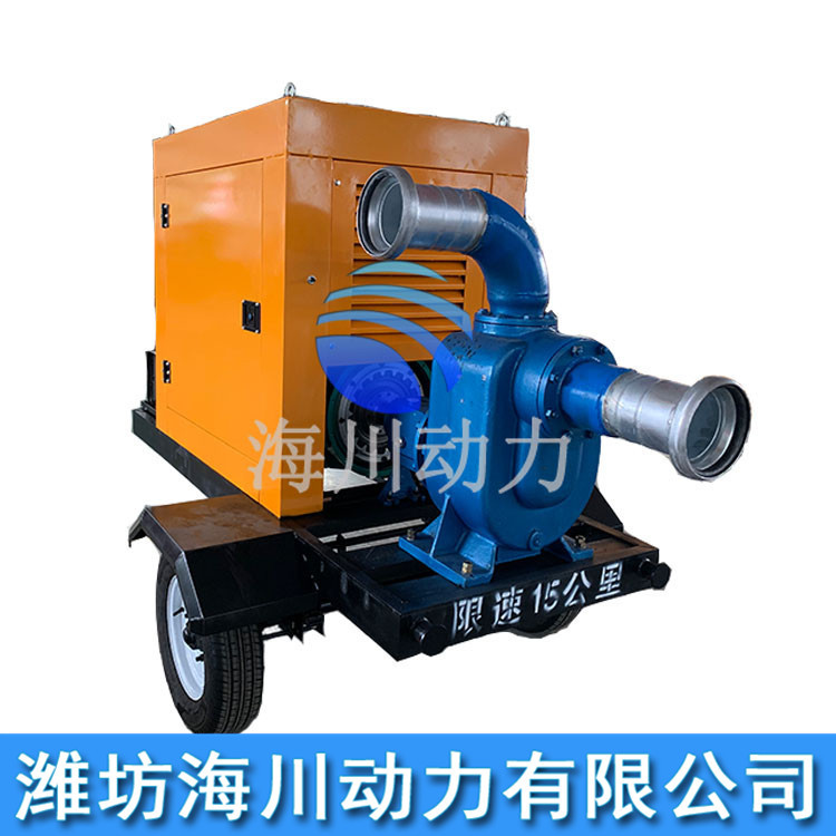 厂家批发固定式柴油机水泵大流量农用自吸泵省力抽水泵大吸力