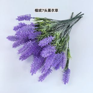 ޹�²ݷ��滨�b�ֲ�q7�湷β��ֲ���������ϼٻ�����������l