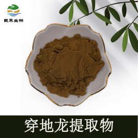 甄禾 薯蓣皂甙25%  穿地龙提取物 现货供应 穿山龙粉末 量大从优