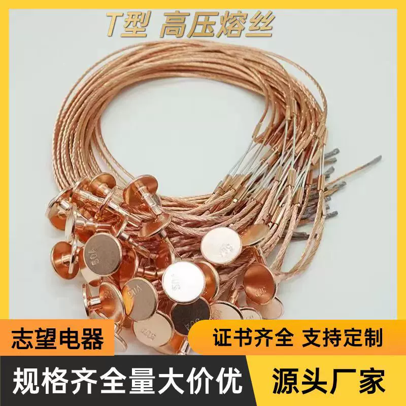 10KV 带扣熔丝保险丝 高压熔丝 保险丝带扣熔丝1A 2A 3A 5A 10A