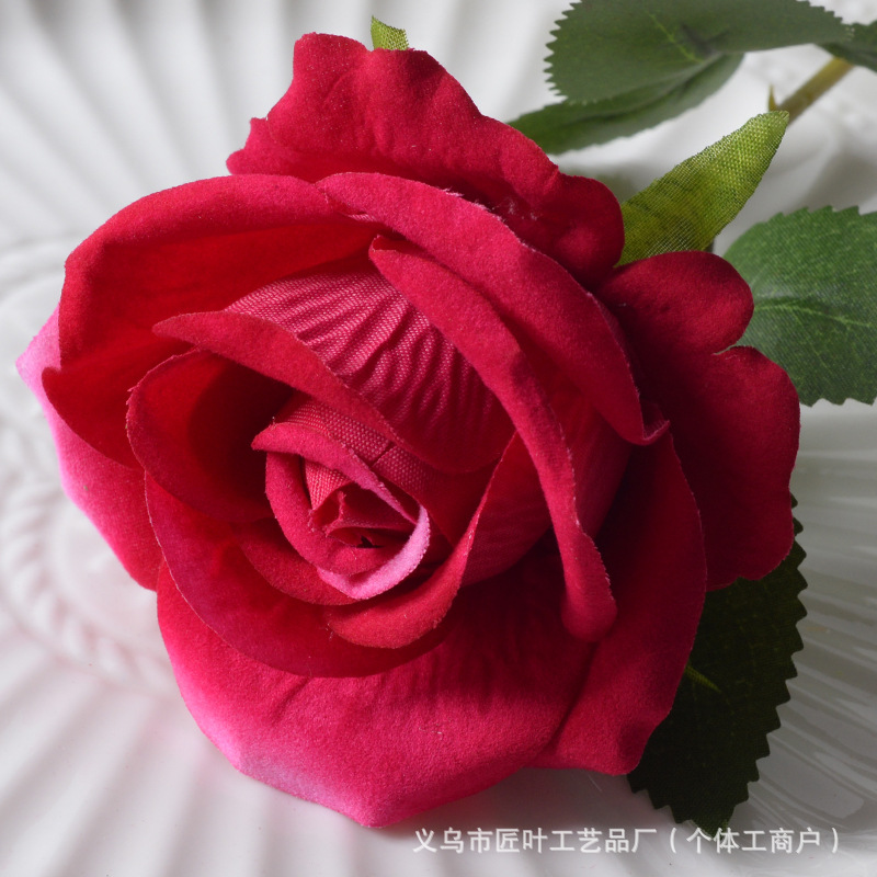 리틀 벨벳 플로이드