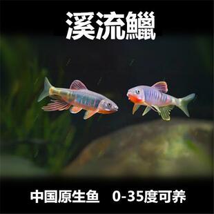 �����v ԭ���~ ��ˮ�~ �һ��~ Ϫ����С�~ �����~ �L���v �R���~