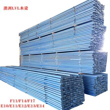E10/F11 AS/NZS 4357����Ϥ�Ὠ�B��������ľLVLľ��H2/H2S����