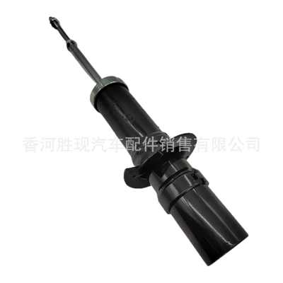 Front Shock Absorber, damping system