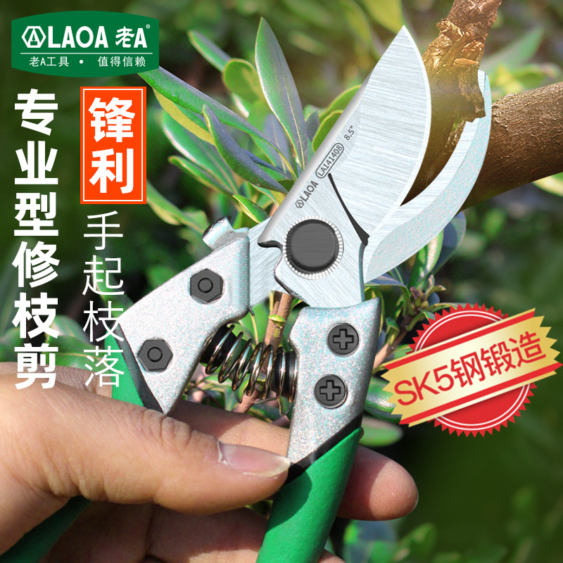 老A 8英寸园林修枝剪刀园艺剪子花枝修剪 采果修花枝剪LA141408