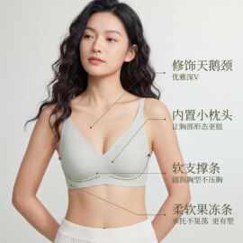 品牌同款胸衣防下垂无钢圈无痕聚拢女士高级感汕头内衣固定杯胸垫